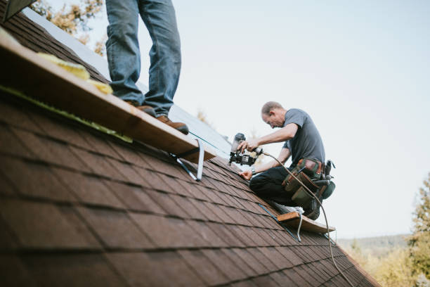 Steel Roofing in Westminster, CO